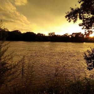 Meet your Posher, Hollie